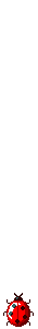 marie5.gif (5764 bytes)
